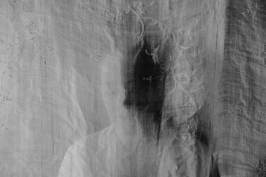 Ets transparent, translúcid o opac?