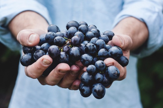Com superar la síndrome de l’startup en empreses madures