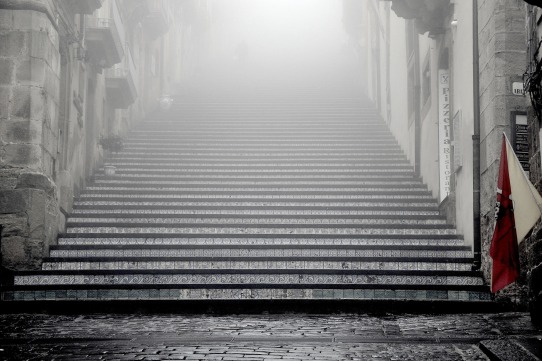 En quines d’aquestes 7 àrees et concentraràs per a créixer?