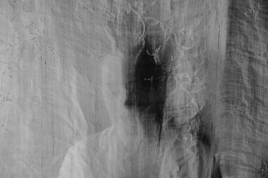 Ets transparent, translúcid o opac?