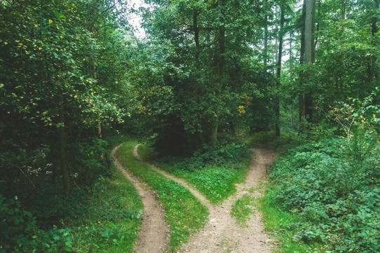 O prens les decisions o te les prenen